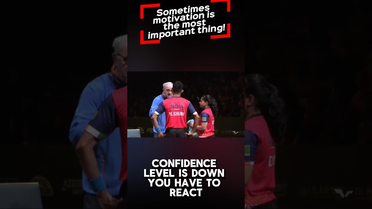 THE JOB OF TABLE TENNIS COACH! 🏓 MASSIMO COSTANTINI 🇮🇹 