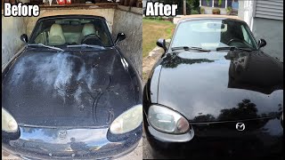 Restoring Sun Damaged Paint By Hand (Incredible Results) by PapaKleb 29,150 views 1 year ago 8 minutes, 8 seconds