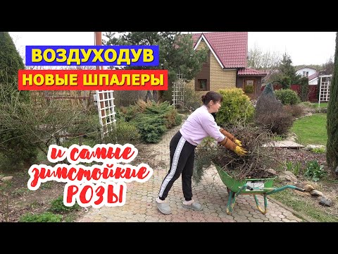 видео: Новые шпалеры! Воздуходув. И самые зимостойкие розы в моем саду!