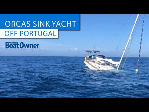 Orcas sink yacht off Portugal