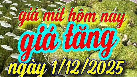 giá mít hôm nay ngày 1/12/2025