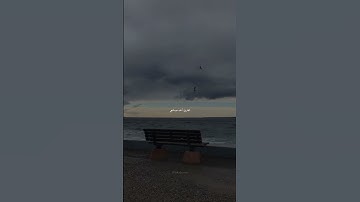 🎙: أحمد عبدالحي | سورة الشعراء #قرآن #اكسبلور #quran