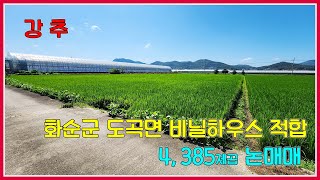 화순군 도곡면  비닐하우스,축사 적합4,385제곱 25만원(3.3제곱당) 논매매 / 화순농지 / 화순부동산 / 강산부동산 / 화순토지 / 도곡들