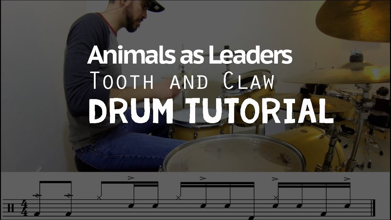 Tooth and claw / Animals as leaders / Drum intro Tutorial