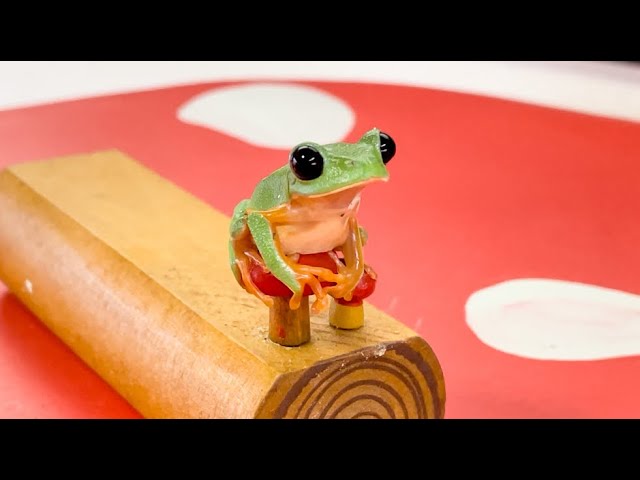The Frogs Were Too Cute Waiting Quietly For The Cleaning To Be Finished Youtube