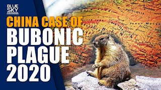 Bubonic Plague 2020 in CHINA | Kunyu