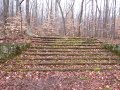 French Creek state park: A grand staircase in the woods