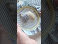 【パンチニードル】🐈 　猫　🐈　#パンチニードル#フリーステッチングニードル#handmade#satisfying