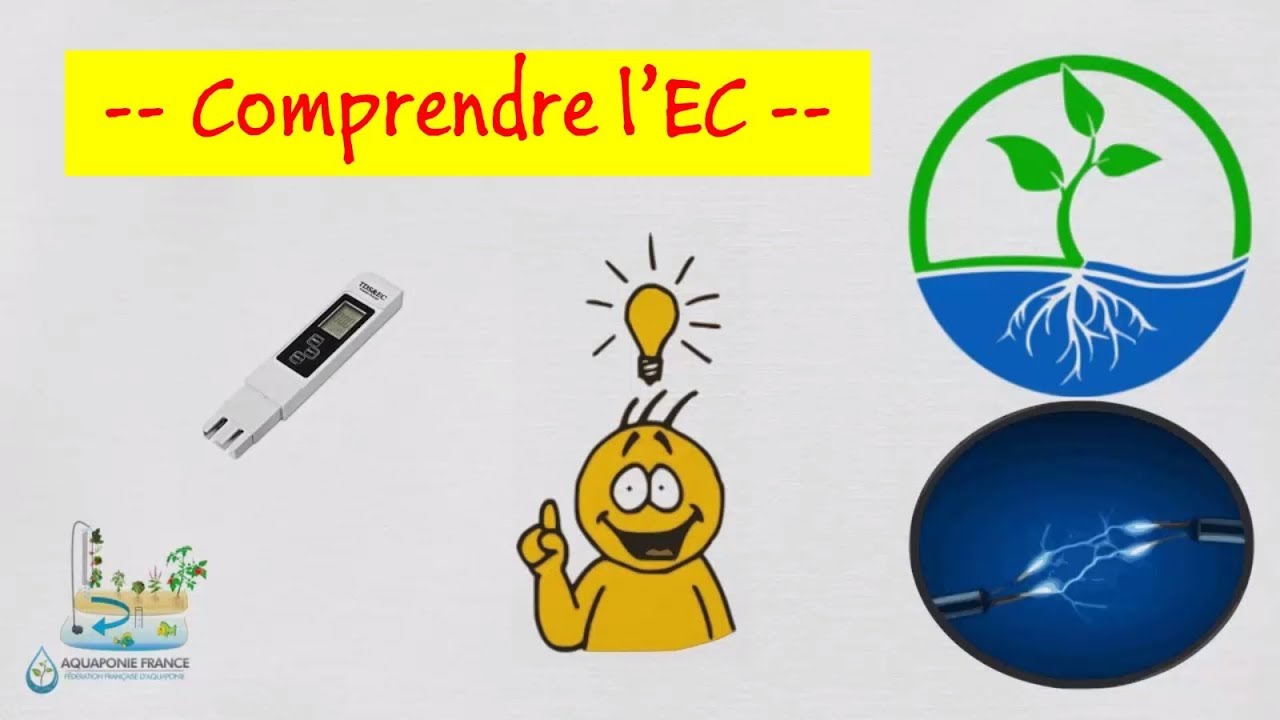 💧 Hydroponie: tout savoir sur l'EC (électro-conductivité)