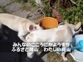 岡山県民愛唱歌『みんなのこころに』