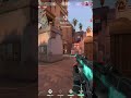 Insane 3 kills  Guardian VS 3 Vandals #shorts