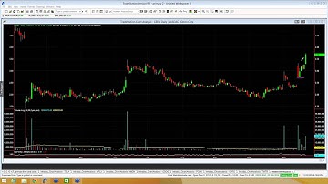 $10 & Under Video Watch List: CANF, FWM, GERN