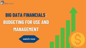 Big Data Financials: Budgeting for Use and Management | iCert Global