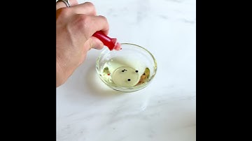 Fireworks in a Jar - Learn Density, Diffusion, and Dissolving