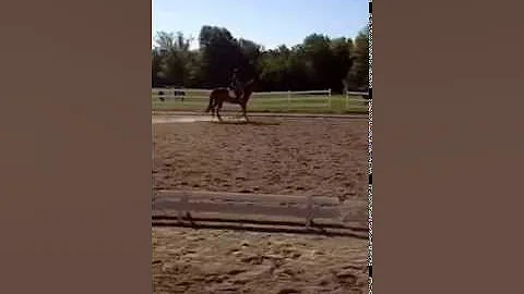 Video of Connie/Flynn