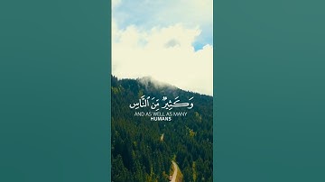 تلاوة خاشعة للقارئ ياسر الدوسري  من سورة الحج #quran
