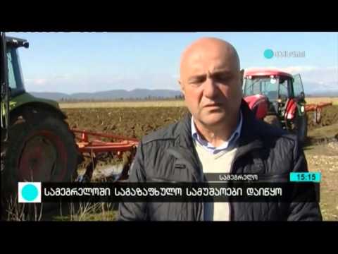 სამეგრელოში საგაზაფხულო სამუშაოები აქტიურად მიმდინარეობს [მაესტრო]