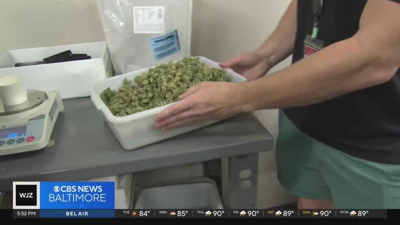 Where does Maryland stand one year after legalization of recreational marijuana?