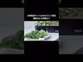 水耕栽培キット(iDOO)でシソ栽培