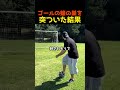 ゴールの蜂の巣を突ついた結果のサムネイル