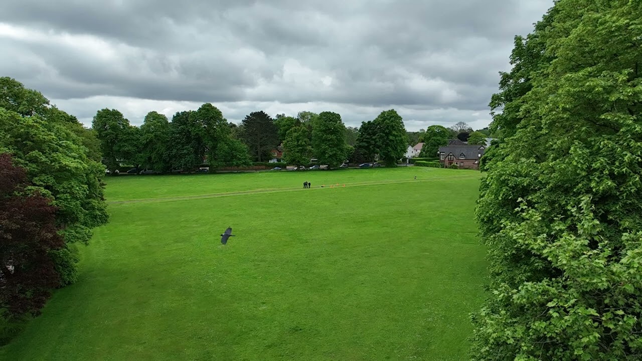 Warlingham School Common, Warlingham