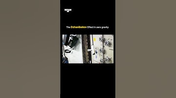 The Dzhanibekov Effect Explained in Zero Gravity