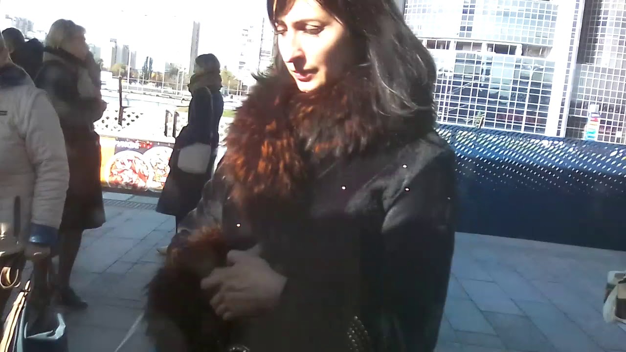 Крещатик (Хрещатик) - Лесная (Лісова)