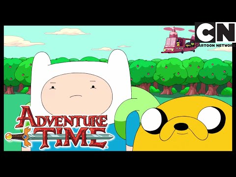Золотые звезды | Время приключений | Cartoon Network