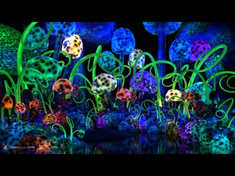 🍄Magic Mushrooms🍄🌈psy-trance🌟