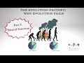 Evolution Factory: Part 3 -- Natural Selection