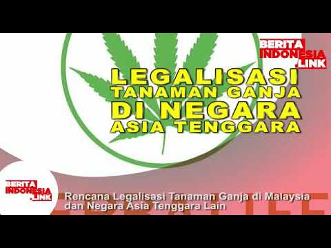 Video: Undang-undang Marijuana Di Asia Tenggara - Rangkaian Matador