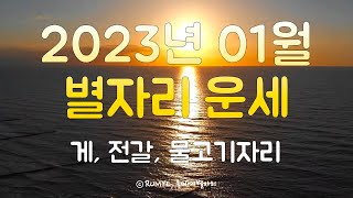 (루미예별자리) 2023년 01월 별자리운세 | 게, 전갈, 물고기자리