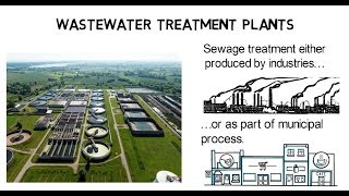 Wastewater treatment plant - How does it work?