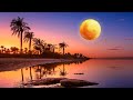 Sleep Music 24/7, Calm Music, Meditation Music, Relaxing Music, Sleep, Study Music, Sleep Meditation