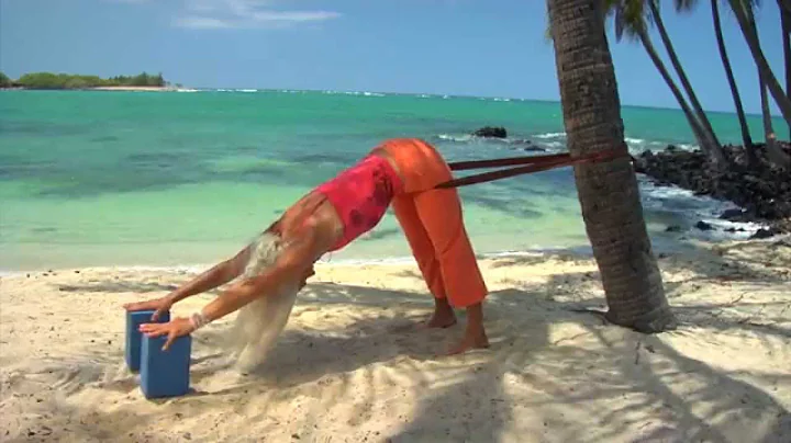 Yoga for Beginners with Deborah Koehn "Downward Dog"
