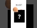 なんの音？ #アニメ #クイズ