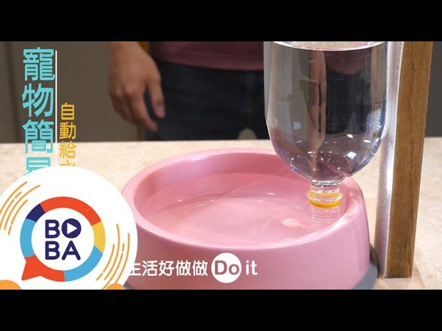 免兩百 Diy寵物自動給水器 生活好做做 Youtube 免兩百 Diy寵物自動給水器 生活好做做 Youtube