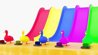 5 Giant Ducks | Learn Colors with Ducks on Slide and Pool Making their Path | Pilli Go