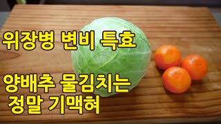 (SUB)양배추물김치만들기::간단요리::#10 /맛+위장병 쾌변 특효 저의 변비를 고쳐준 요리에요