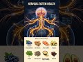 Fuel Your Brain & Nerves with These 8 Foods!