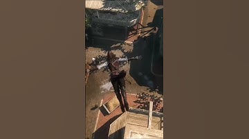 Aveline flying & hiding a straw stack - Assassin