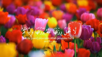 (الذين صبروا وعلي ربهم يتوكلون )للقارئ عبد الرحمان مسعد سورة العنكبوت #راحة_نفسية #ارح_قلبك