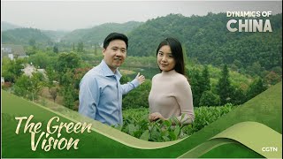 Live: Green environment boosts the rural economy in E China's Zhejiang