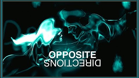 Andrew Frankel -"Opposite Directions" (2025)