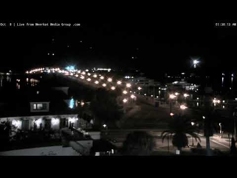 pont des lions Diffusion en direct