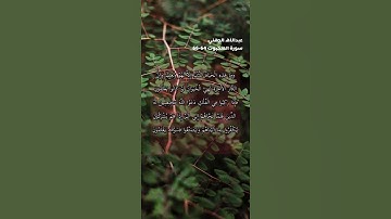 سورة العنكبوت الاية 64-66