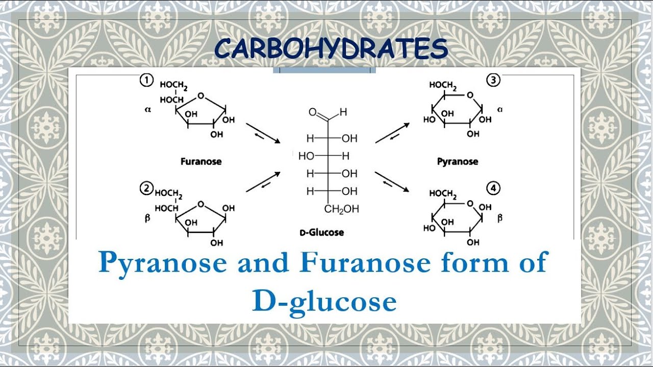 Biosensors | Free Full-Text | Progress of Enzymatic and Non-Enzymatic  Electrochemical Glucose Biosensor Based on Nanomaterial-Modified Electrode