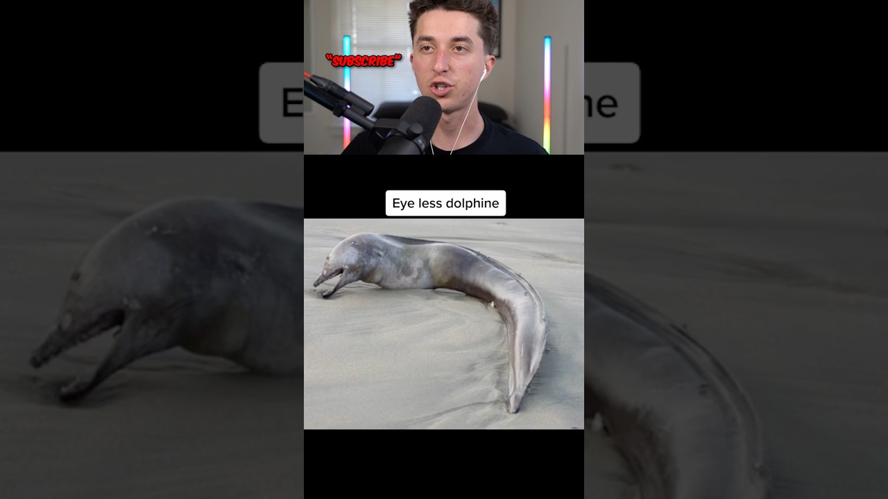 beach washed up 🤯😱