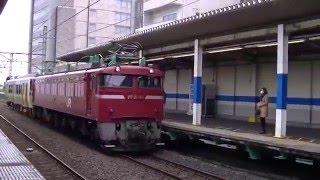 EF81-141+キハE130-101 南越谷通過