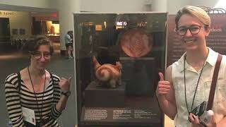 Scavenger Hunt Summer 2019